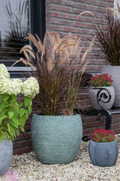 Bloempot Arizona Bullet Cypress Wash - D32 X H28.5cm - Groen -Planten Winkel arizona bullet cypress wash d32h285 bloempot 7 9