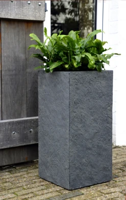 Plantenbak Arizona Cubihi - L28 X B28 X H60cm - Donkergrijs -Planten Winkel arizona cubihi graphite w28h60 plantenbak 7 4