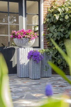 Plantenschaal Arkansas - D55 X H24cm - Lichtgrijs 7 Plantenschaal Arkansas - D55 X H24cm - Lichtgrijs -Planten Winkel arkansas bowl low washed grey d55h24 bloempot 7 9