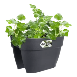 Elho Balkonbak Vibia Campana Bridge 40cm - Antraciet -Planten Winkel balkonbak vibia campana bridge 40cm antraciet balkonbak antraciet 3 1