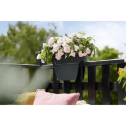 Elho Balkonbak Vibia Campana Bridge 40cm - Antraciet -Planten Winkel balkonbak vibia campana bridge 40cm antraciet balkonbak antraciet 5 1