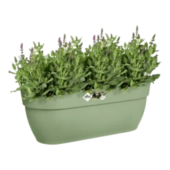 Elho Balkonbak Vibia Campana Easy Hanger Large - Pistache Groen 10 Elho Balkonbak Vibia Campana Easy Hanger Large - Pistache Groen -Planten Winkel balkonbak vibia campana easy hanger large pistache groen balkonbak pistache groen 4 1
