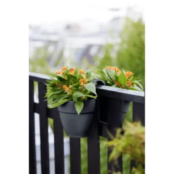 Elho Balkonbak Vibia Campana Twin 21cm - Antraciet 12 Elho Balkonbak Vibia Campana Twin 21cm - Antraciet -Planten Winkel balkonbak vibia campana twin 21cm antraciet balkonbak antraciet 5 1