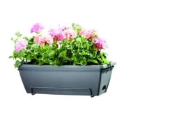 Balkonbak Elho Barcelona Allin 1 50cm - Antraciet -Planten Winkel barcelona allin1 50cm plantenbak antraciet 6 18