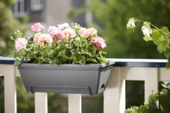 Balkonbak Elho Barcelona Allin 1 50cm - Antraciet -Planten Winkel barcelona allin1 50cm plantenbak antraciet 7 18