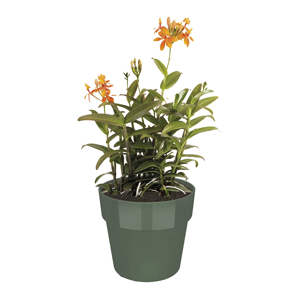 Bloempot Elho B.for Original Rond 25cm - Bladgroen 4 Bloempot Elho B.for Original Rond 25cm - Bladgroen - Afbeelding 2