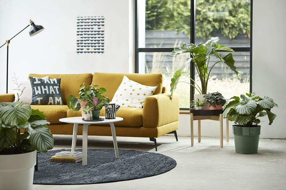 Bloempot Elho B.for Original Rond 30cm - Bladgroen 5 Bloempot Elho B.for Original Rond 30cm - Bladgroen - Afbeelding 3