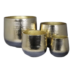 Planten Winkel -Planten Winkel bloempot athene goud bloempot 2 2