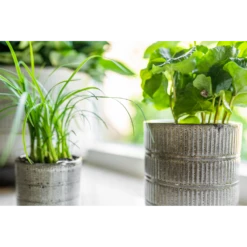 Bloempot Denise - D19 X H19cm - Off White 7 Bloempot Denise - D19 X H19cm - Off White -Planten Winkel bloempot denise d19 x h19cm off white bloempot 3