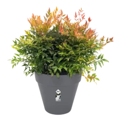 Bloempot Elho Loft Urban Rond 40cm - Antraciet -Planten Winkel bloempot elho loft urban rond antraciet bloempot antraciet 3 2 1
