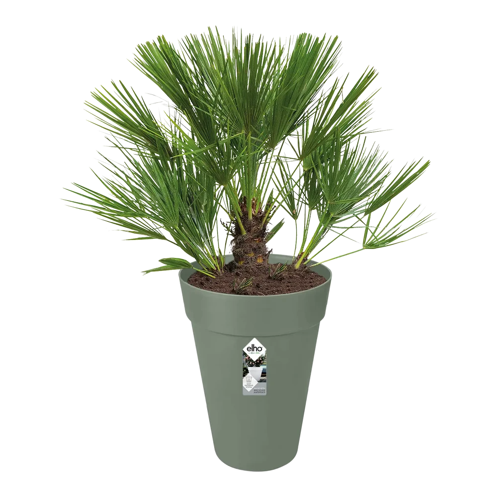 Bloempot Elho Loft Urban Rond Hoog 28cm - Pistache Groen 5 Bloempot Elho Loft Urban Rond Hoog 28cm - Pistache Groen - Afbeelding 3