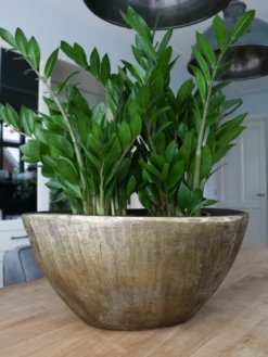 Bloempot Kos Ovaal - L39 X B20 X H31cm - Goud -Planten Winkel bloempot kos ovaal goud bloempot 2 1