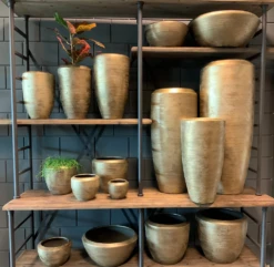 Bloempot Kos - D20 X H18cm - Goud 7 Bloempot Kos - D20 X H18cm - Goud -Planten Winkel bloempot kos serie goud bloempot 3 1 3