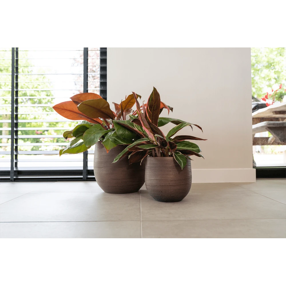 Bloempot Lydia - D36 X H32cm - Shiny Purple 4 Bloempot Lydia - D36 X H32cm - Shiny Purple - Afbeelding 2