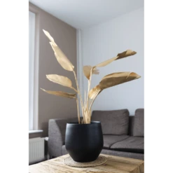 Bloempot Petra - D27 X H24cm - Mat Zwart 7 Bloempot Petra - D27 X H24cm - Mat Zwart -Planten Winkel bloempot petra mat zwart 2