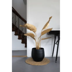 Bloempot Petra - D27 X H24cm - Mat Zwart 8 Bloempot Petra - D27 X H24cm - Mat Zwart -Planten Winkel bloempot petra mat zwart 3