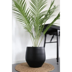 Bloempot Petra - D27 X H24cm - Mat Zwart 9 Bloempot Petra - D27 X H24cm - Mat Zwart -Planten Winkel bloempot petra mat zwart 4