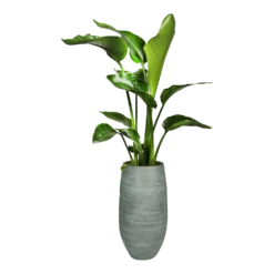 Bloempot Ryan Hoog - D19 X H50cm - Shiny Blue -Planten Winkel bloempot ryan hoog d19 x h50cm shiny blue bloempot 6