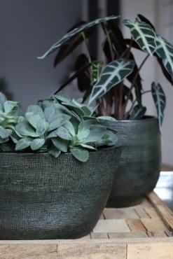 Bloempot Tokio Ovaal - L52 X B17 X H37cm - Groen -Planten Winkel bloempot tokio ovaal groen bloempot 2 1