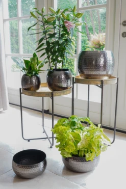 Plantenschaal Kody - D24 X H11cm - Lood -Planten Winkel bowl kody lead d24 h11 plantenschaal lood 6 6