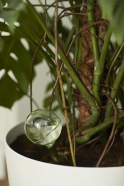 Aqua Care Elho - Transparant 11 Aqua Care Elho - Transparant -Planten Winkel elho aqua care transparant water geven 7 2