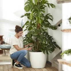 Bloempot Elho Brussels Rond 40cm - Met Wielen - Wit 7 Bloempot Elho Brussels Rond 40cm - Met Wielen - Wit -Planten Winkel elho brussels rond wielen 40 wit bloempot 7 7