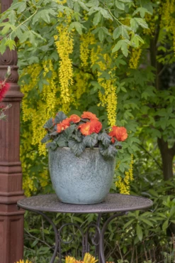 Bloempot Glazed Egg - D30 X H26cm - Groen -Planten Winkel glazed egg pot moss green d30h26 bloempot groen 7 6