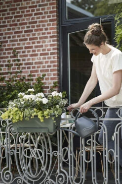 Balkonbak Elho Green Basics XL Allin1 55cm - Bladgroen 9 Balkonbak Elho Green Basics XL Allin1 55cm - Bladgroen -Planten Winkel green basics balkonbak xl allin1 55cm plantenbak bladgroen 7 14