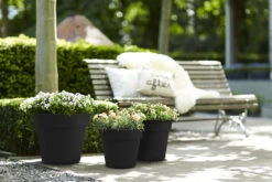 Bloempot Elho Green Basics Top Planter 47cm - Living Black 7 Bloempot Elho Green Basics Top Planter 47cm - Living Black -Planten Winkel green basics top planter 47cm bloempot living black 7 13