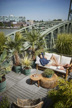 Elho Bloempot Greenville Rond 30cm - Bladgroen 5 Elho Bloempot Greenville Rond 30cm - Bladgroen -Planten Winkel greenville rond 30cm bloempot bladgroen 6 13