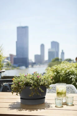 Plantenschaal Elho Greenville 33cm - Living Black 7 Plantenschaal Elho Greenville 33cm - Living Black -Planten Winkel greenville schaal 33cm bloempot living black 6 13