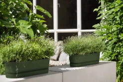 Bloembak Elho Greenville Terrace Long 50cm - Met Wielen - Bladgroen 9 Bloembak Elho Greenville Terrace Long 50cm - Met Wielen - Bladgroen -Planten Winkel greenville trough long 50 plantenbak bladgroen 6 13