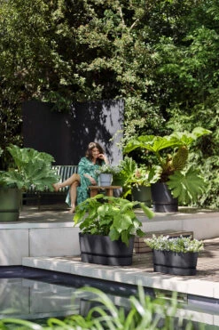 Bloembak Elho Greenville Terrace Long 70cm - Met Wielen - Living Black 9 Bloembak Elho Greenville Terrace Long 70cm - Met Wielen - Living Black -Planten Winkel greenville trough long 70 plantenbak living black 6 13