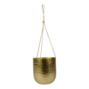 Hangpot Kody - D16 X H18cm - Goud 1 Hangpot Kody - D16 X H18cm - Goud -Planten Winkel hanger kody gold d16 h18 hangpot 1 4