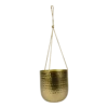 Hangpot Kody - D17 X H20cm - Goud