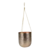 Hangpot Kody - D16 X H18cm - Rosu00e9 Goud -Planten Winkel hangpot kody d16 h18 rose goud hangpot 1 10