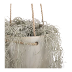 Hangpot Resa - D18,5 X H17cm - Lichtgrijs 9 Hangpot Resa - D18,5 X H17cm - Lichtgrijs -Planten Winkel hangpot resa d18 5 x h17cm lichtgrijs hangpot 3 1