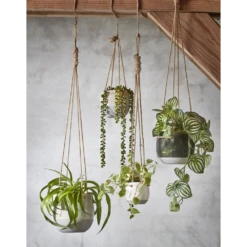 Hangpot Resa - D18,5 X H17cm - Lichtgrijs 11 Hangpot Resa - D18,5 X H17cm - Lichtgrijs -Planten Winkel hangpot resa d18 5 x h17cm lichtgrijs hangpot 5 1