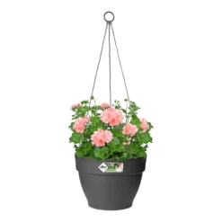 Elho Hangschaal Vibia Campana 26cm - Antraciet -Planten Winkel hangschaal vibia campana 26cm antraciet hangpot antraciet 3 1