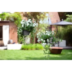 Elho Hangschaal Vibia Campana 26cm - Antraciet -Planten Winkel hangschaal vibia campana 26cm antraciet hangpot antraciet 4 1