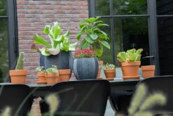 Bloempot Iowa Bullet - D44 X H39cm - Donkergrijs 7 Bloempot Iowa Bullet - D44 X H39cm - Donkergrijs -Planten Winkel iowa bullet graphite d44h39 bloempot 7 9