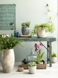 Planten Winkel -Planten Winkel lester pot rond d blauw h35xd38cm bloempot 6 12