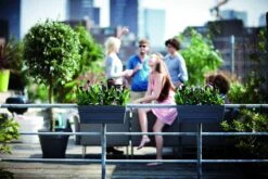 Balkonbak Elho Loft Urban Allin1 50cm - Antraciet 9 Balkonbak Elho Loft Urban Allin1 50cm - Antraciet -Planten Winkel loft urban balkonbak allin1 50 plantenbak antraciet 7 13