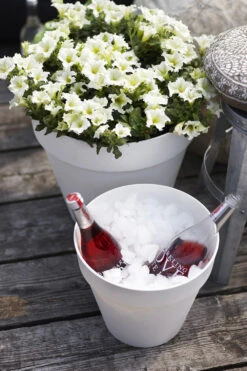 Bloempot Elho Loft Urban Rond 70cm - Antraciet -Planten Winkel loft urban rond 70 bloempot antraciet 6 15