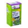 Luxan Greenfix Zero 500ml Glyfosaatvrij Concentraat - Onkruid En Aanslag -Planten Winkel luxan greenfix zero 500ml glyfosaatvrij concentraat onkruid en aanslag 1