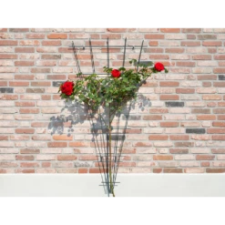 Nature - Metalen Klimrekv Geplastificeerd Groen H145x5/75cm -Planten Winkel nature metalen klimrekv geplastificeerd groen h145x5 75cm 3 2