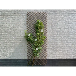 Nature - Wilgenklimrek 60x180cm -Planten Winkel nature wilgenklimrek 60x180cm 3 2