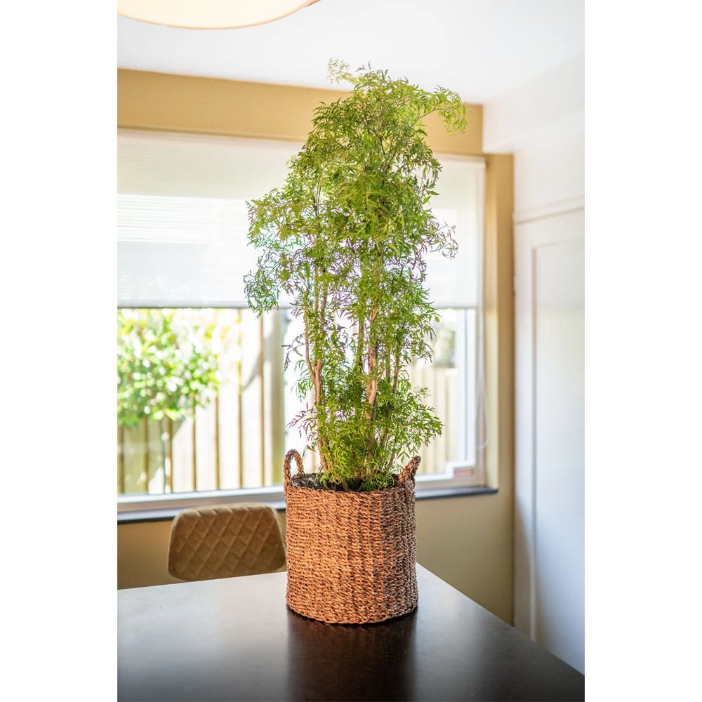 Plantenmand Joris - D30 X H27cm - Camel 4 Plantenmand Joris - D30 X H27cm - Camel - Afbeelding 2