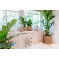 Plantenmand Joris - D30 X H27cm - Naturel 7 Plantenmand Joris - D30 X H27cm - Naturel -Planten Winkel plantenmand joris naturel plantenmand 3 2