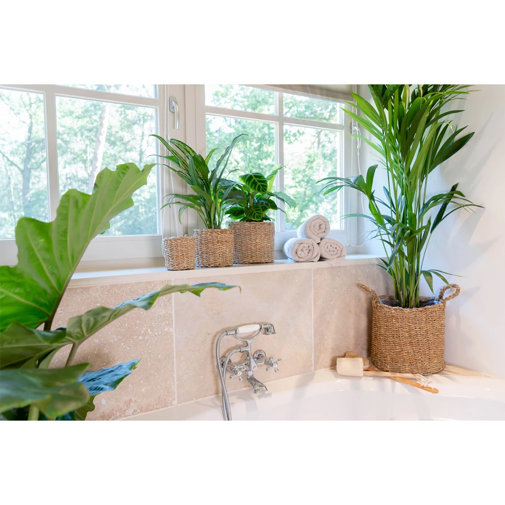 Plantenmand Joris - D38 X H33cm - Naturel 5 Plantenmand Joris - D38 X H33cm - Naturel - Afbeelding 3